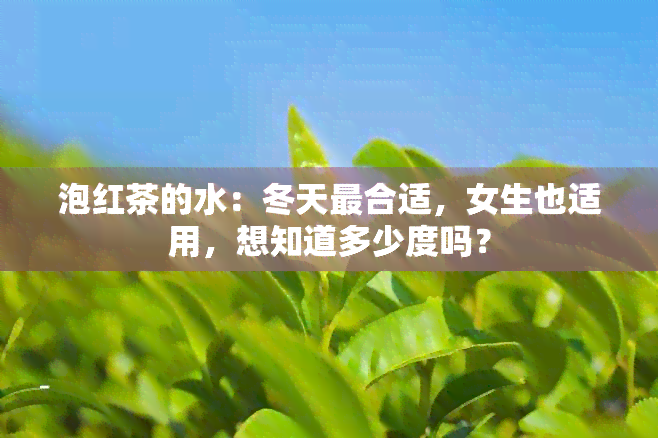 泡红茶的水：冬天最合适，女生也适用，想知道多少度吗？