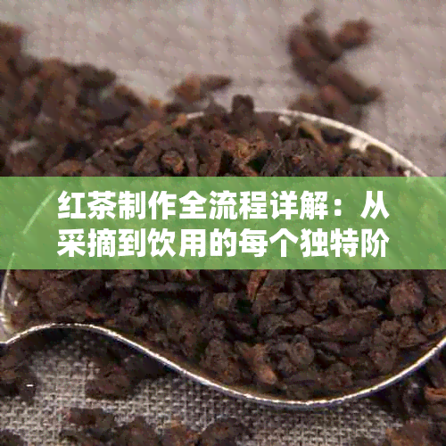 红茶制作全流程详解：从采摘到饮用的每个独特阶