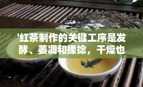 '红茶制作的关键工序是发酵、萎凋和揉捻，干燥也是重要环节。'