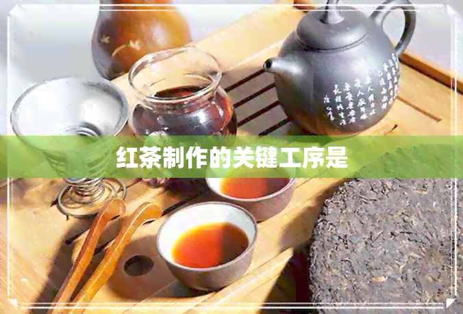 红茶制作的关键工序是