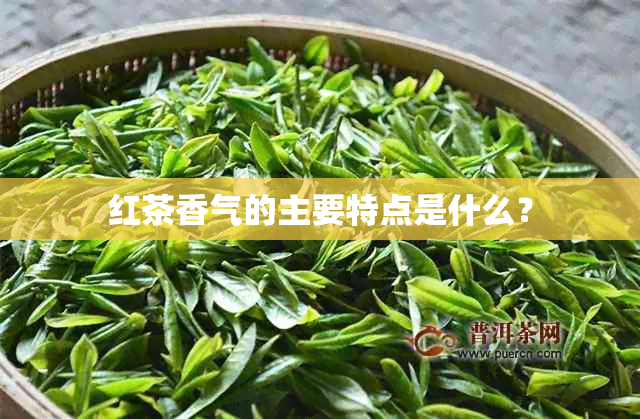 红茶香气的主要特点是什么？