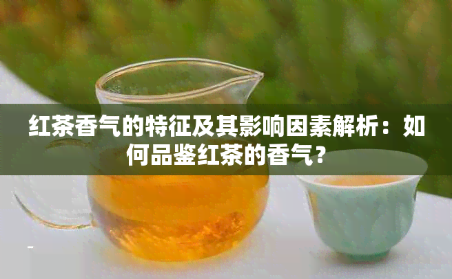 红茶香气的特征及其影响因素解析：如何品鉴红茶的香气？