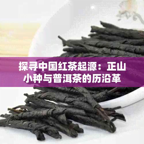 探寻中国红茶起源：正山小种与普洱茶的历沿革