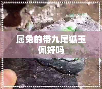 属兔的带九尾狐玉佩好吗