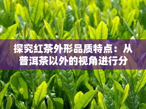 探究红茶外形品质特点：从普洱茶以外的视角进行分析