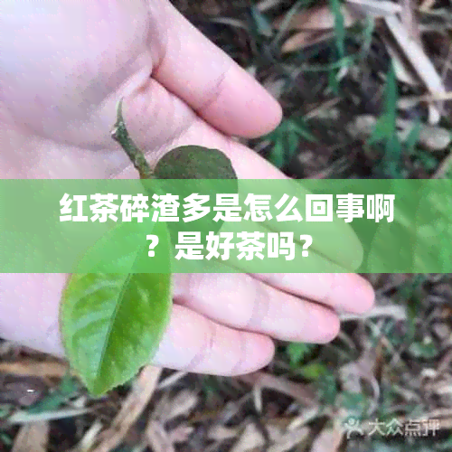 红茶碎渣多是怎么回事啊？是好茶吗？