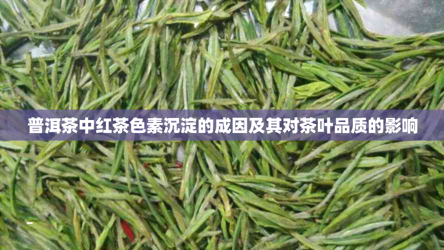 普洱茶中红茶色素沉淀的成因及其对茶叶品质的影响