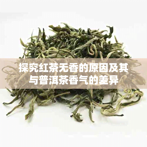 探究红茶无香的原因及其与普洱茶香气的差异