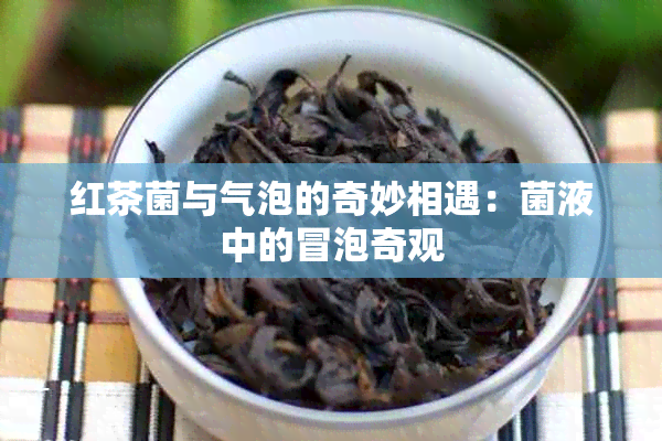 红茶菌与气泡的奇妙相遇：菌液中的冒泡奇观