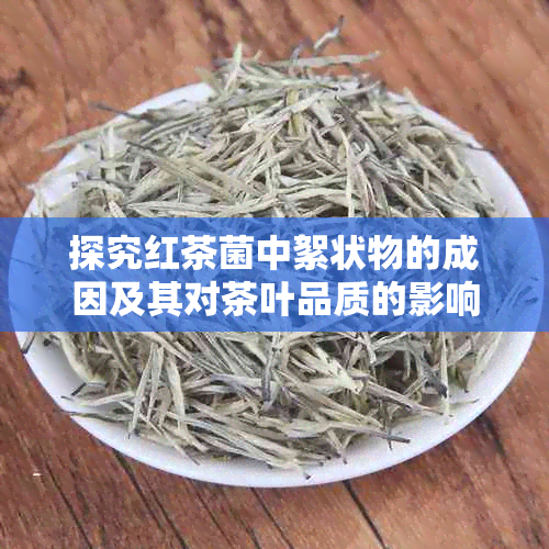 探究红茶菌中絮状物的成因及其对茶叶品质的影响