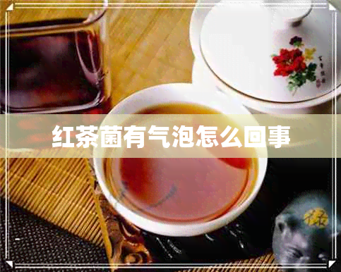 红茶菌有气泡怎么回事