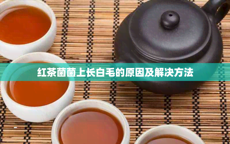 红茶菌菌上长白毛的原因及解决方法