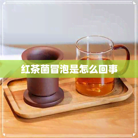 红茶菌冒泡是怎么回事