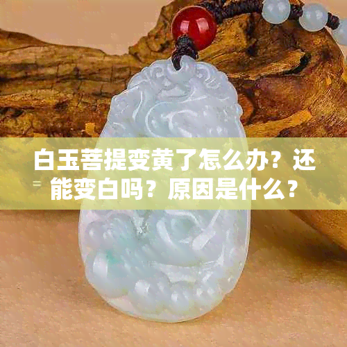 白玉菩提变黄了怎么办？还能变白吗？原因是什么？