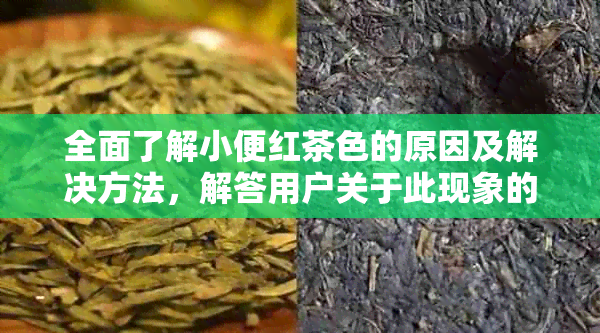 全面了解小便红茶色的原因及解决方法，解答用户关于此现象的多种疑问