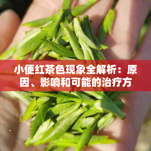 小便红茶色现象全解析：原因、影响和可能的治疗方法