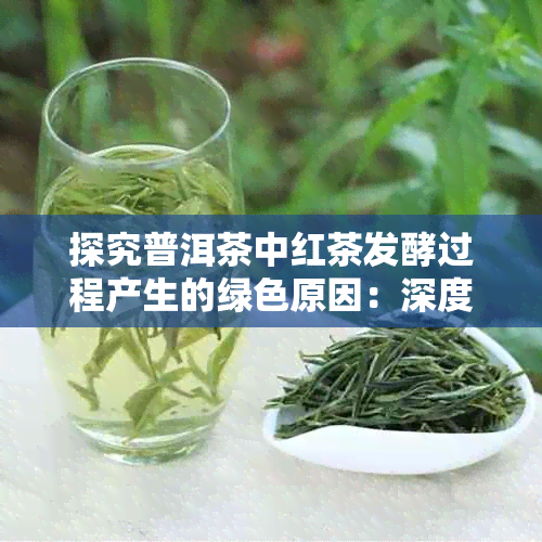 探究普洱茶中红茶发酵过程产生的绿色原因：深度解析