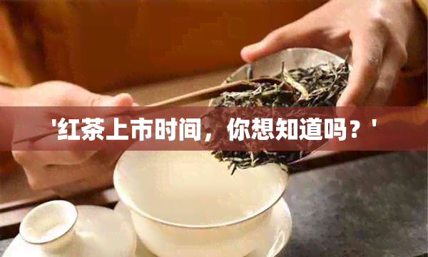 '红茶上市时间，你想知道吗？'