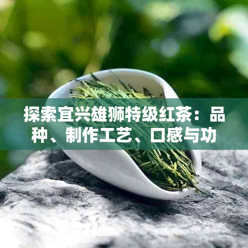 探索宜兴雄狮特级红茶：品种、制作工艺、口感与功效的全面解析