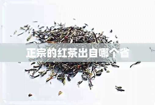 正宗的红茶出自哪个省