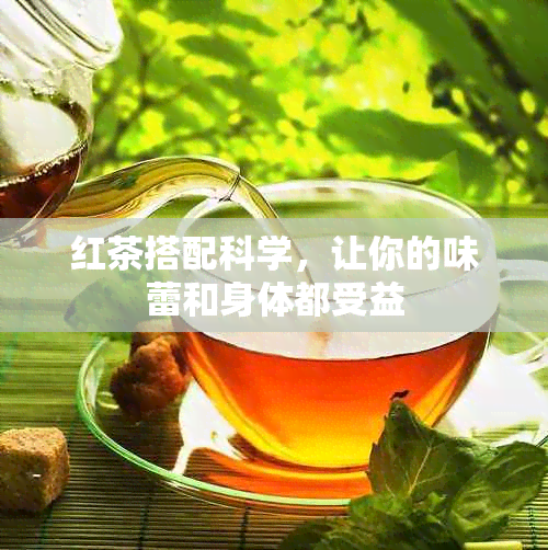 红茶搭配科学，让你的味蕾和身体都受益