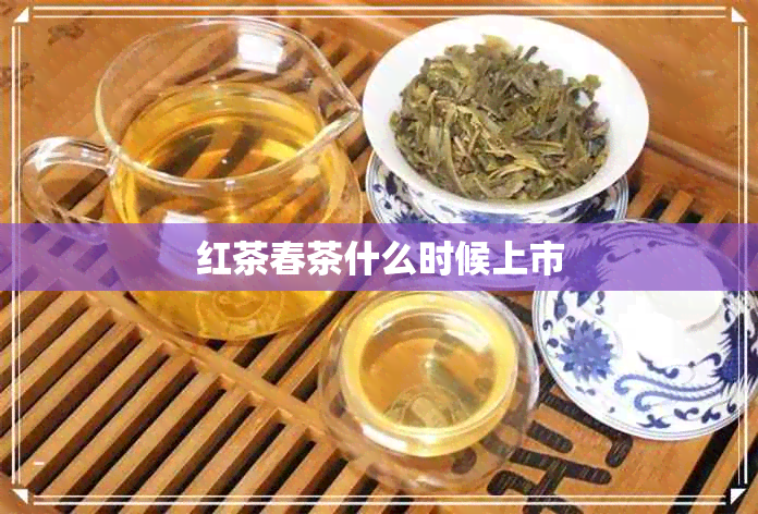 红茶春茶什么时候上市