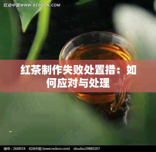 红茶制作失败处置措：如何应对与处理