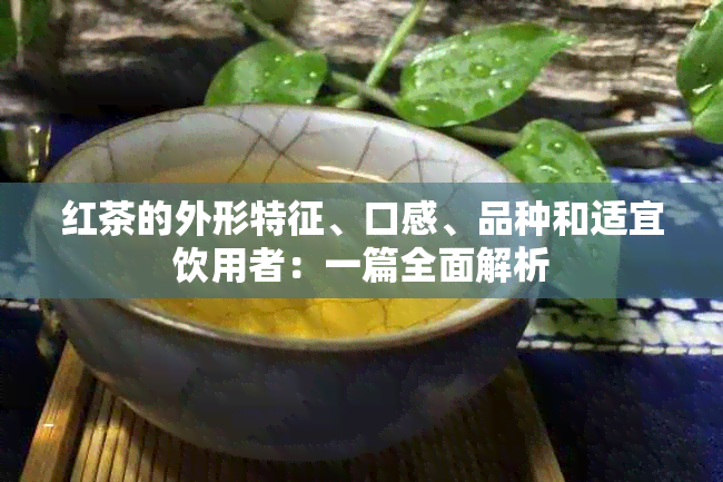 红茶的外形特征、口感、品种和适宜饮用者：一篇全面解析