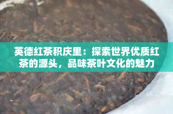 英德红茶积庆里：探索世界优质红茶的源头，品味茶叶文化的魅力