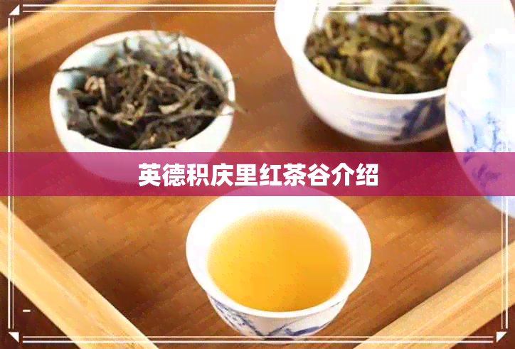 英德积庆里红茶谷介绍