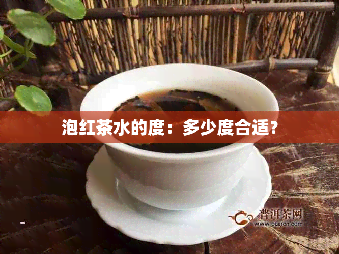 泡红茶水的度：多少度合适？