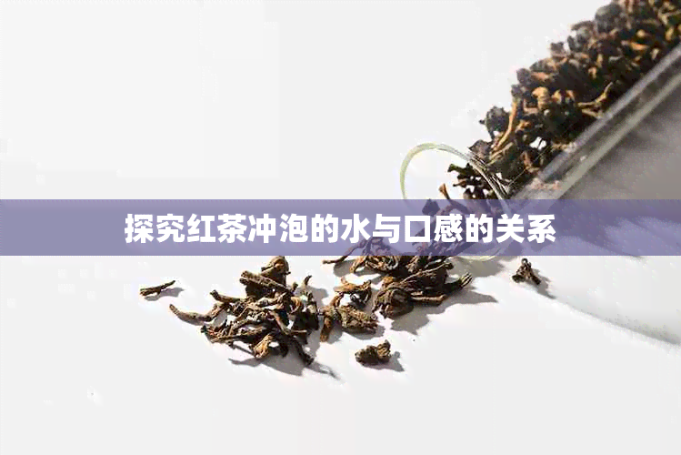 探究红茶冲泡的水与口感的关系