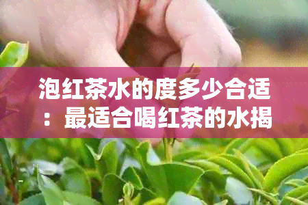 泡红茶水的度多少合适：最适合喝红茶的水揭秘