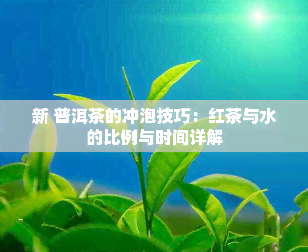 新 普洱茶的冲泡技巧：红茶与水的比例与时间详解