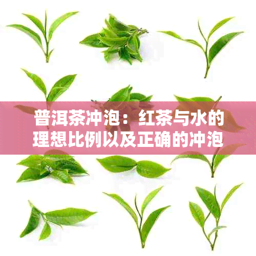 普洱茶冲泡：红茶与水的理想比例以及正确的冲泡方法