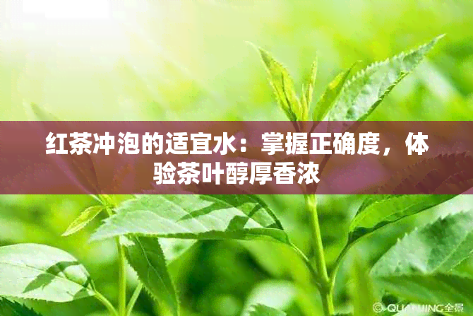 红茶冲泡的适宜水：掌握正确度，体验茶叶醇厚香浓