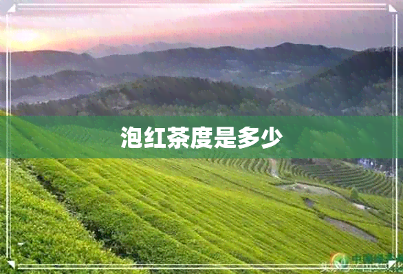 泡红茶度是多少