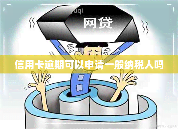 信用卡逾期可以申请一般纳税人吗