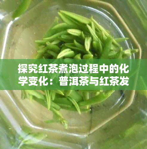 探究红茶煮泡过程中的化学变化：普洱茶与红茶发黑现象的原因解读