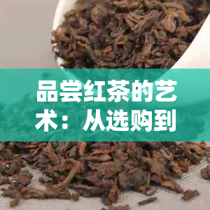 品尝红茶的艺术：从选购到泡制的全方位指南