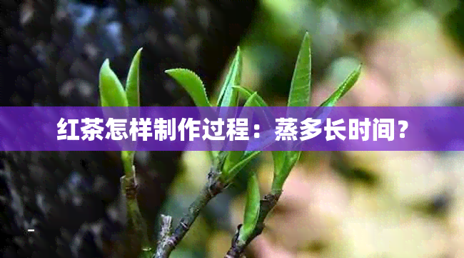 红茶怎样制作过程：蒸多长时间？