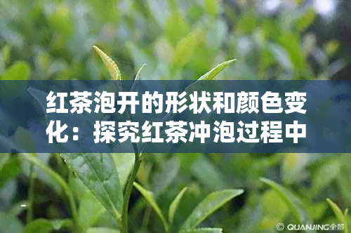 红茶泡开的形状和颜色变化：探究红茶冲泡过程中的颜色及形态