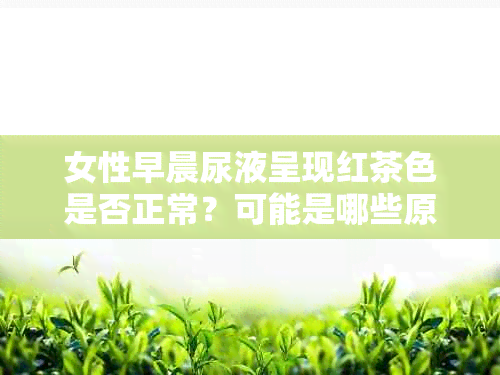 女性早晨尿液呈现红茶色是否正常？可能是哪些原因导致的？