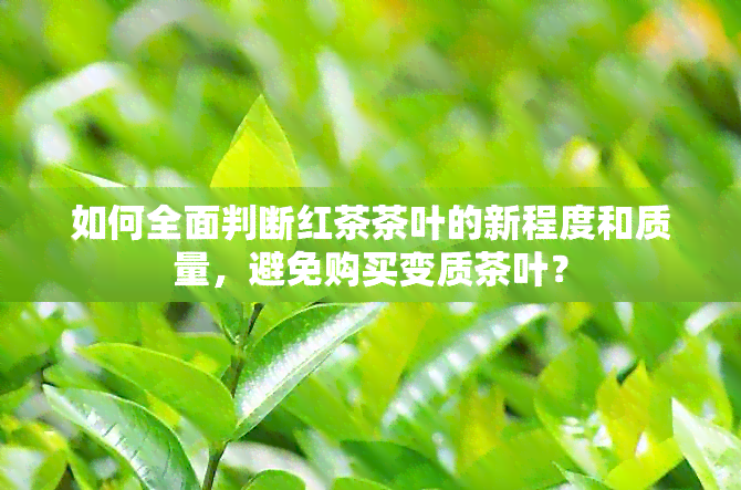 如何全面判断红茶茶叶的新程度和质量，避免购买变质茶叶？