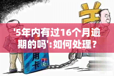 '5年内有过16个月逾期的吗':如何处理？