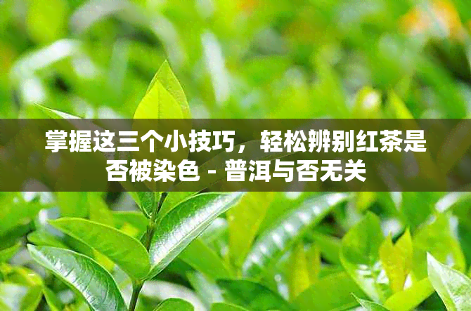 掌握这三个小技巧，轻松辨别红茶是否被染色 - 普洱与否无关