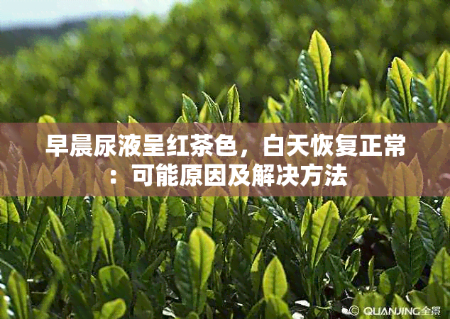 早晨尿液呈红茶色，白天恢复正常：可能原因及解决方法