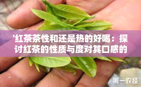 '红茶茶性和还是热的好喝：探讨红茶的性质与度对其口感的影响'