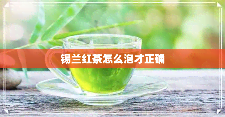 锡兰红茶怎么泡才正确