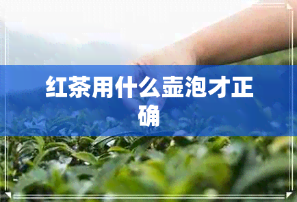 红茶用什么壶泡才正确